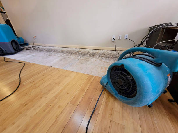 Professional Water Damage Repair technician working in Thornville, OH